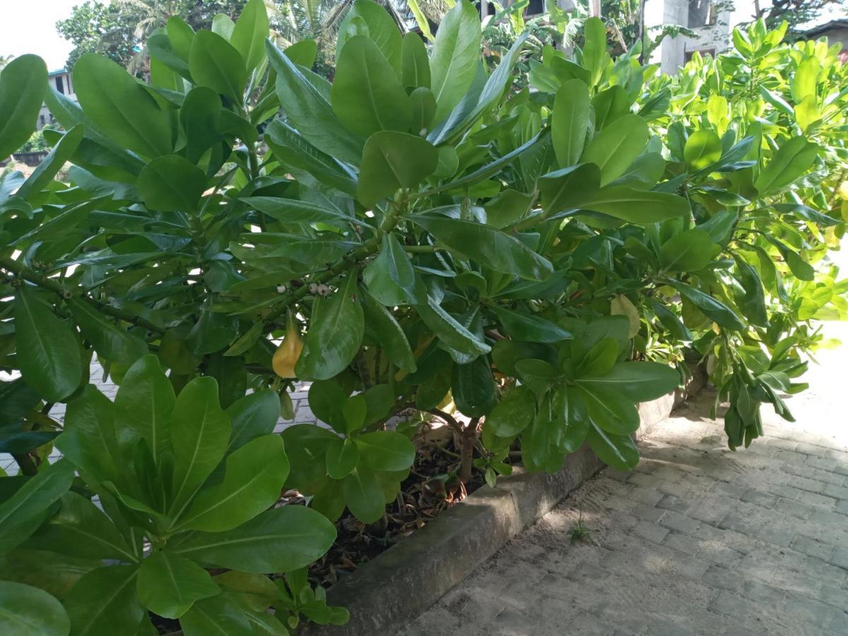 Tharul Home Bentota Ngoại thất bức ảnh